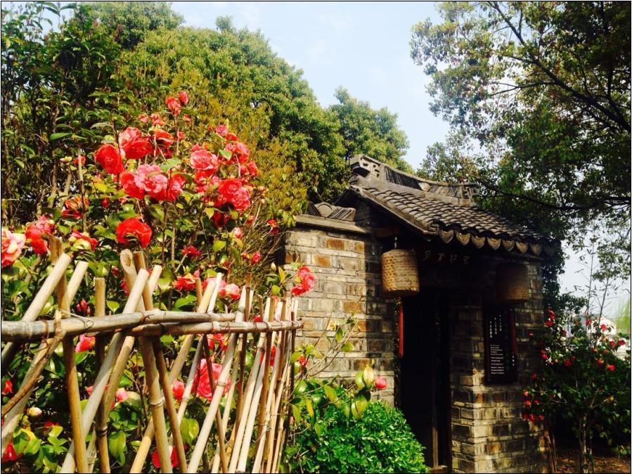 Zhouzhuang Moonlit River In Spring Guzheng Club House Suzhou  Esterno foto